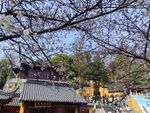 鸡鸣寺  