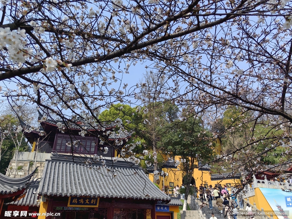 鸡鸣寺  