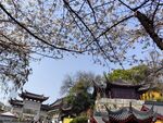 鸡鸣寺   