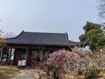 梅花山  