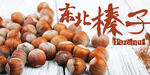 榛子