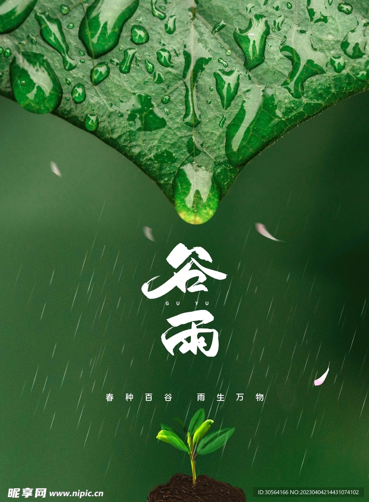 谷雨