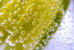 新鲜水果柠檬