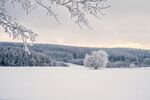 雪地