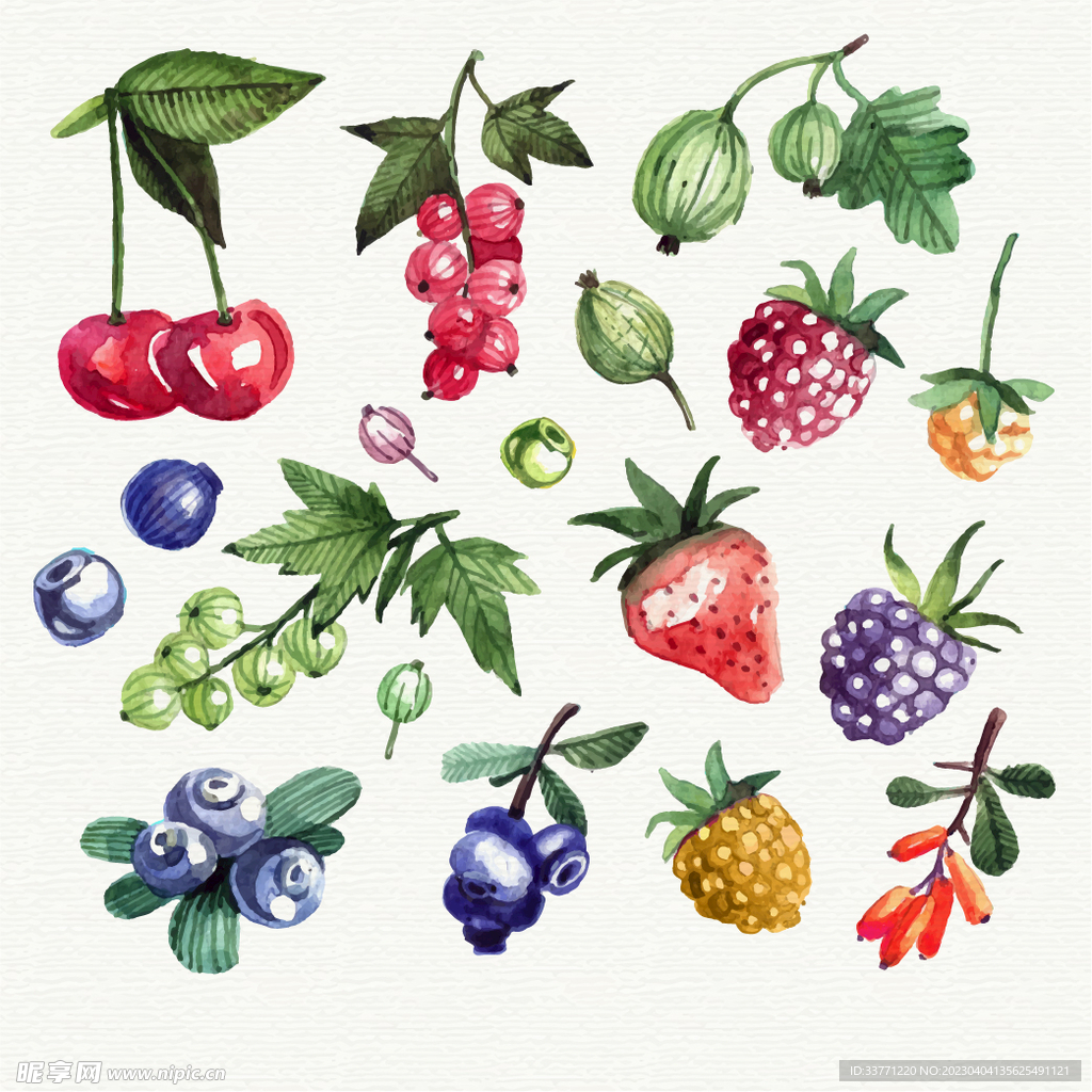 水彩绘水果