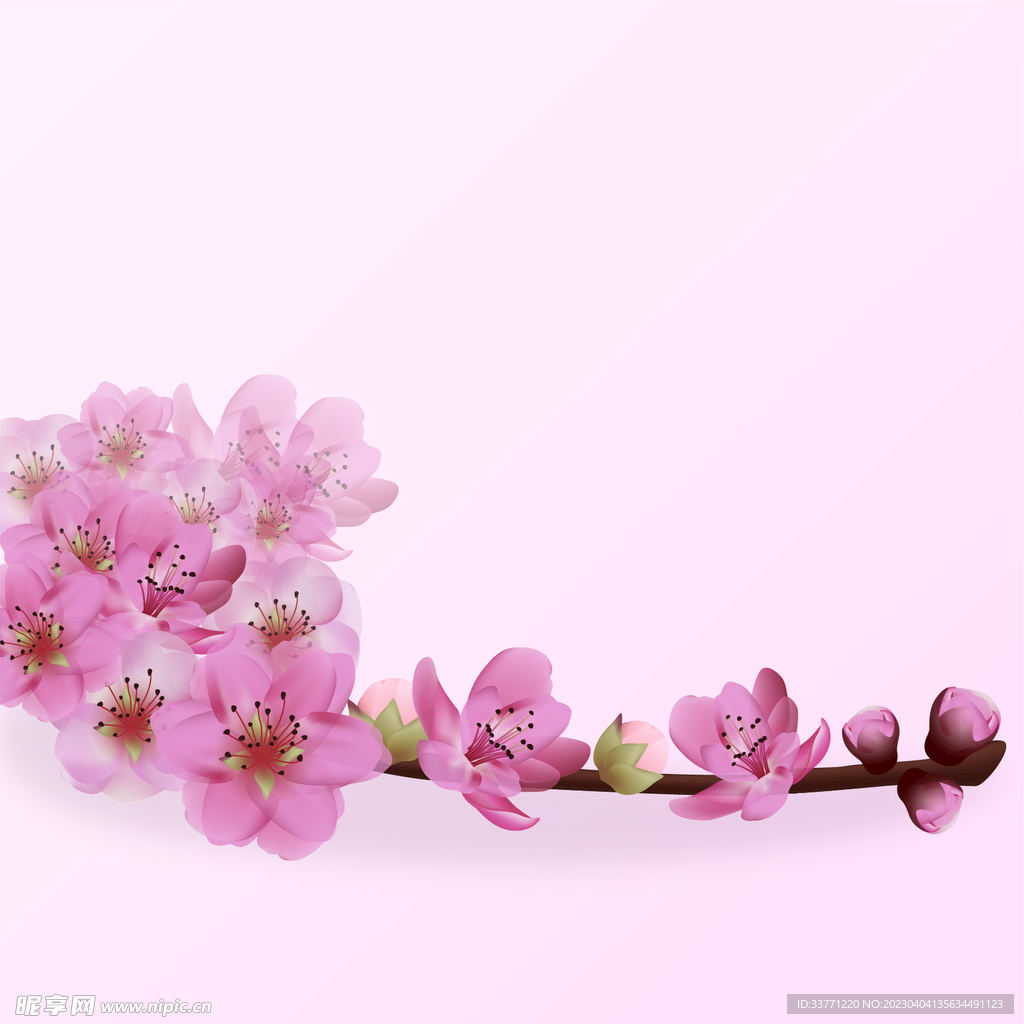 粉色桃花