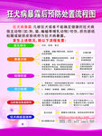 狂犬病暴露后预防处置流程图