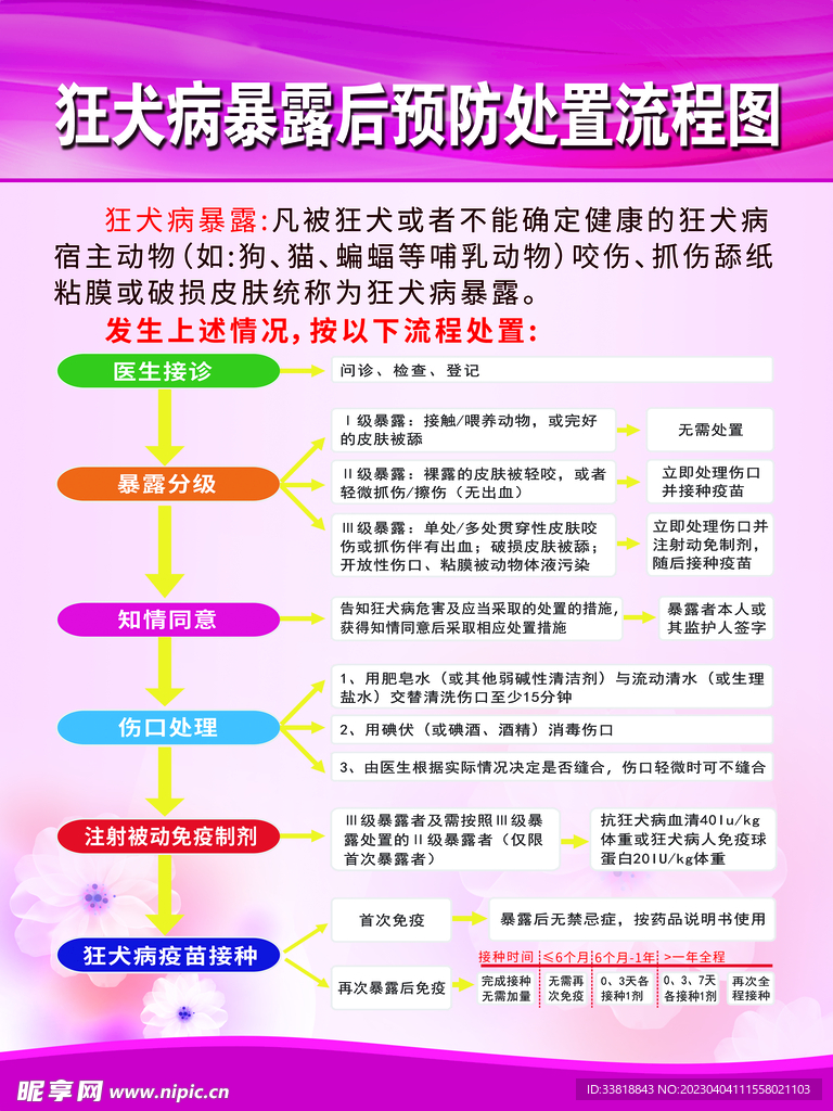 狂犬病暴露后预防处置流程图