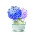 卡通绣球花