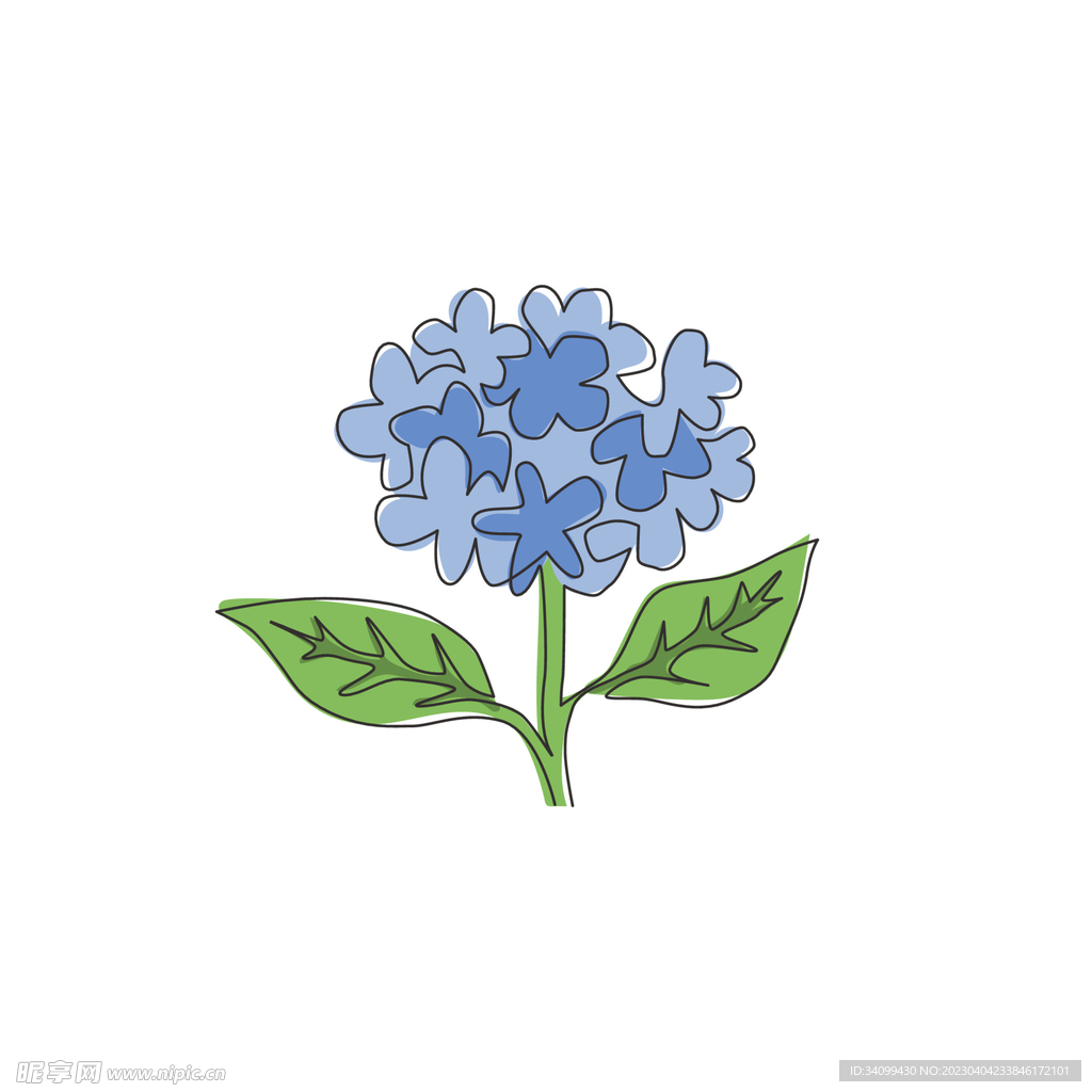 卡通绣球花