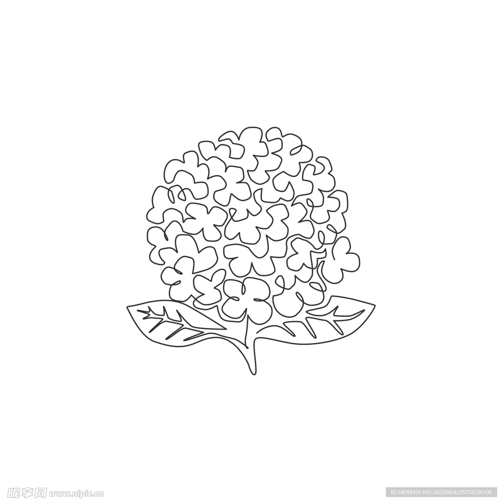 卡通绣球花