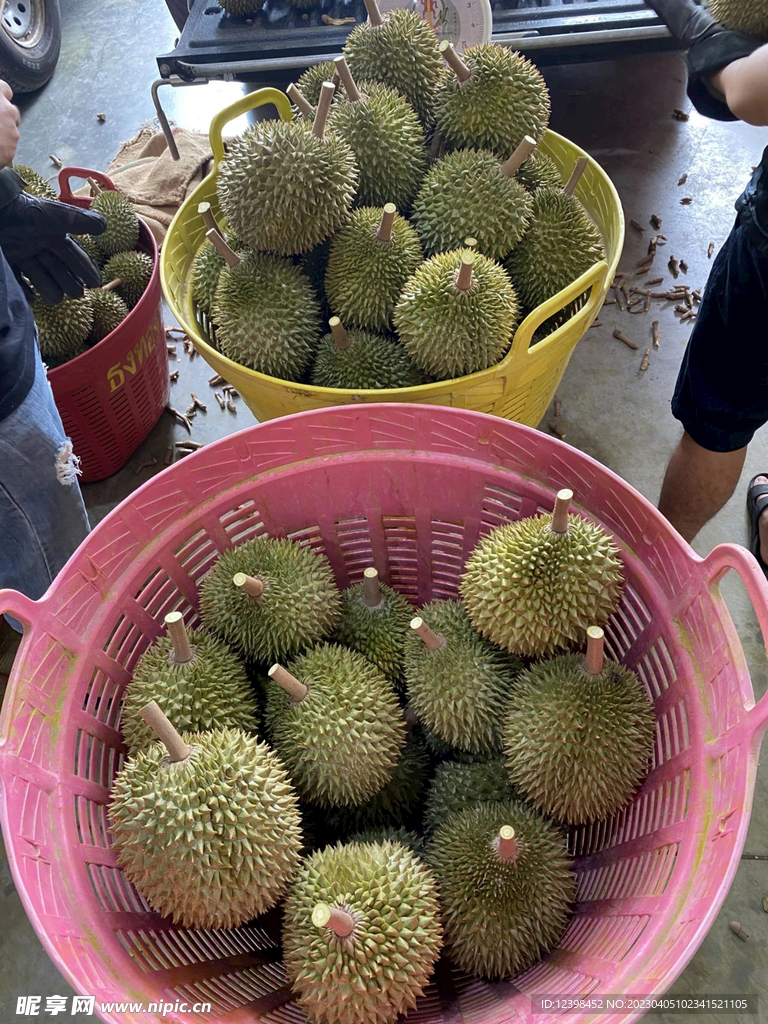 榴莲