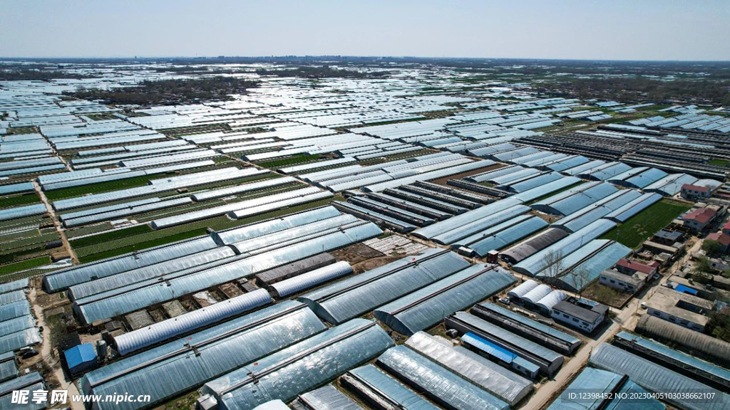 乡村蔬菜大棚基地