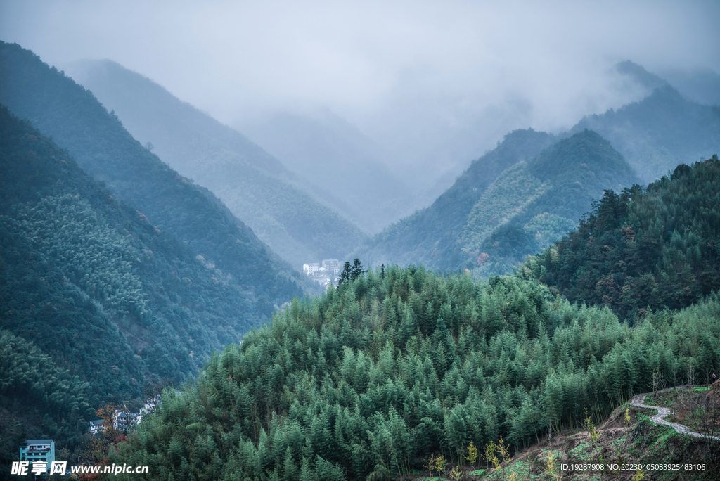 空山新雨后