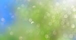 绿色植物背景图