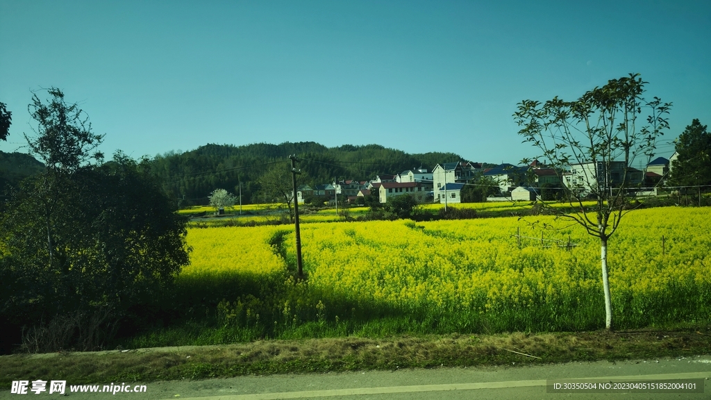 路边的风景