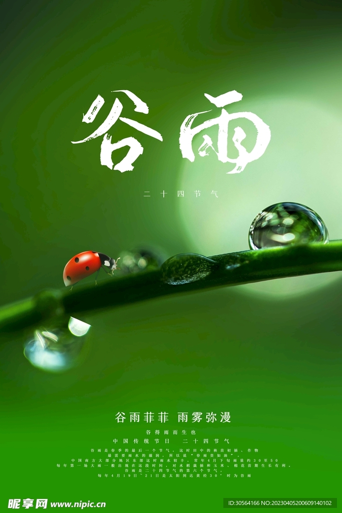 谷雨