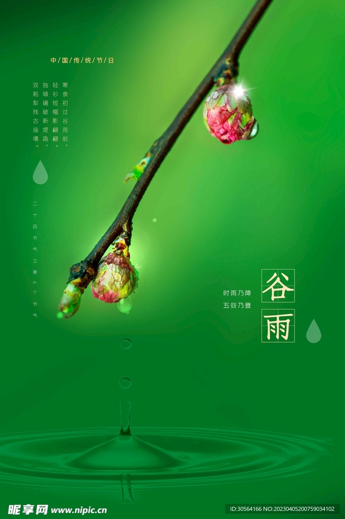 谷雨