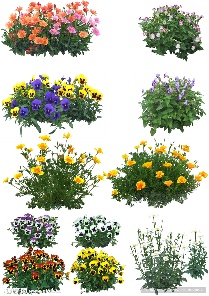 花丛