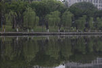 湖畔