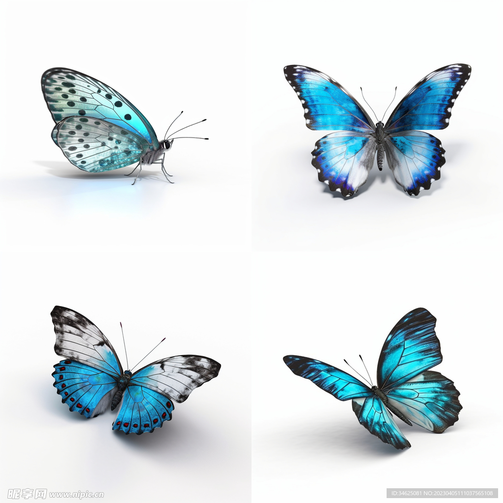 蓝色蝴蝶矢量设计图__其他_广告设计_设计图库_昵图网nipic.com