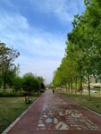 春季公园绿色清新健身跑步道