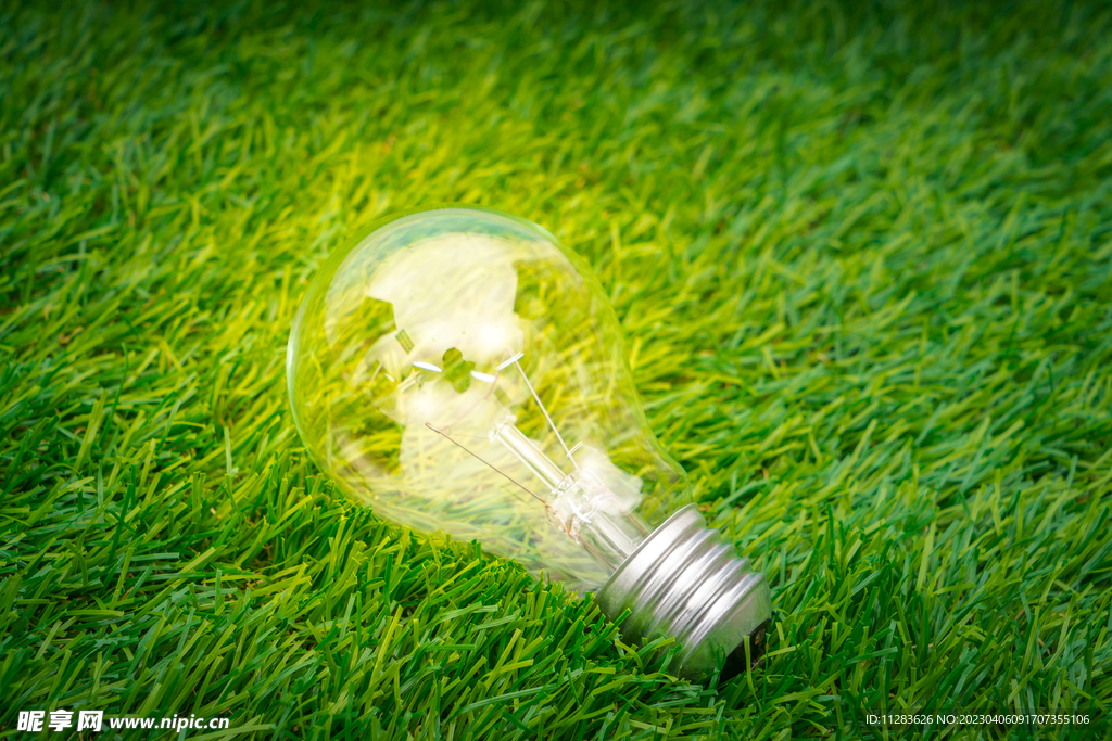 草地灯泡