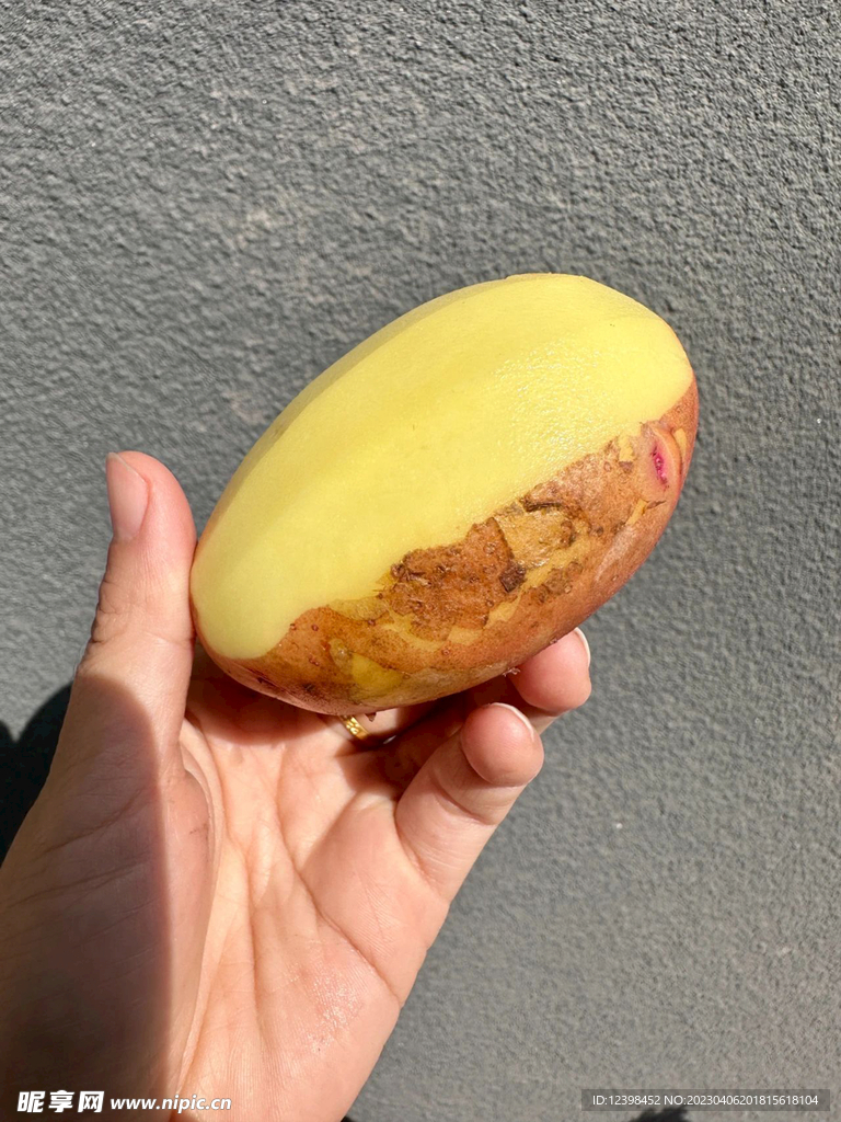 土豆