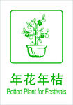 年花年桔