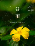谷雨大气简约海报