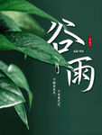 谷雨传统节气海报