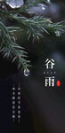 谷雨简约海报