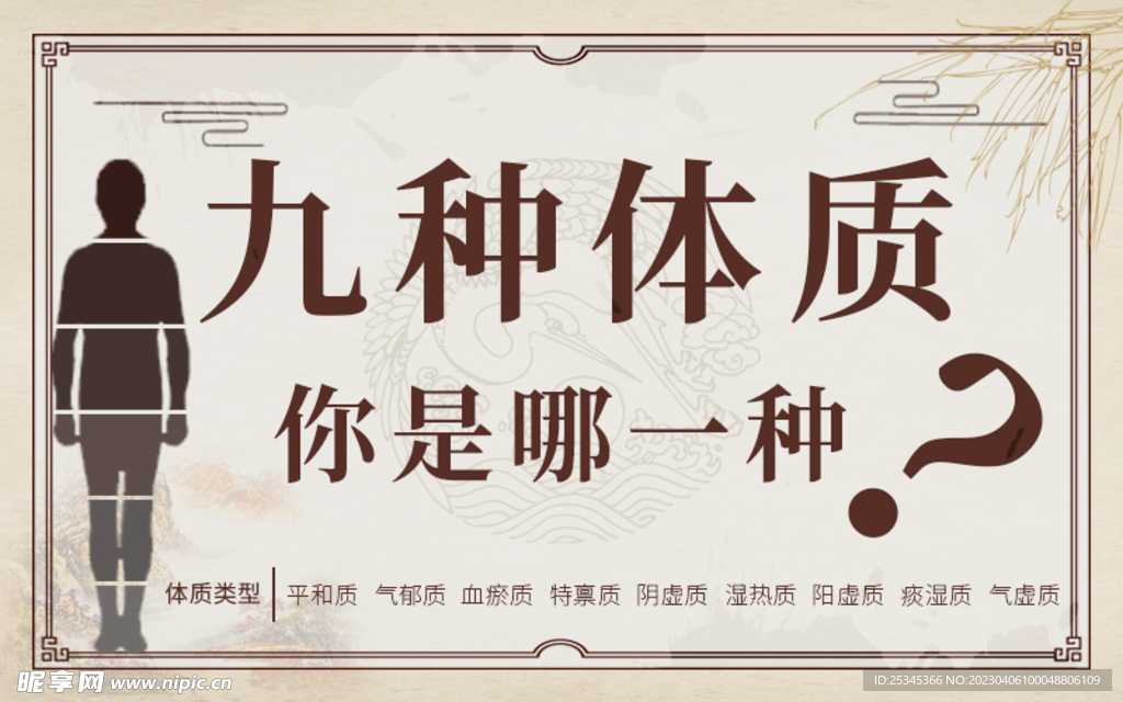 中医体质健康分析banner