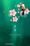 谷雨海报