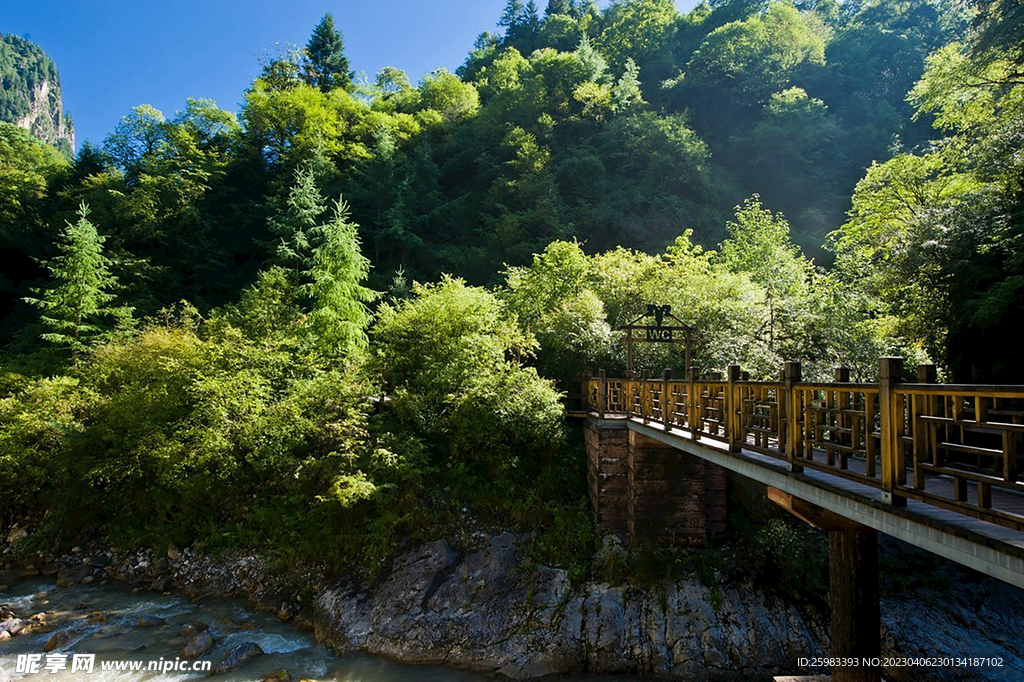 森林公园