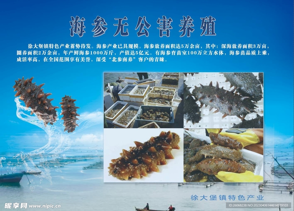 海参