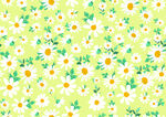 小花