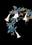 花卉
