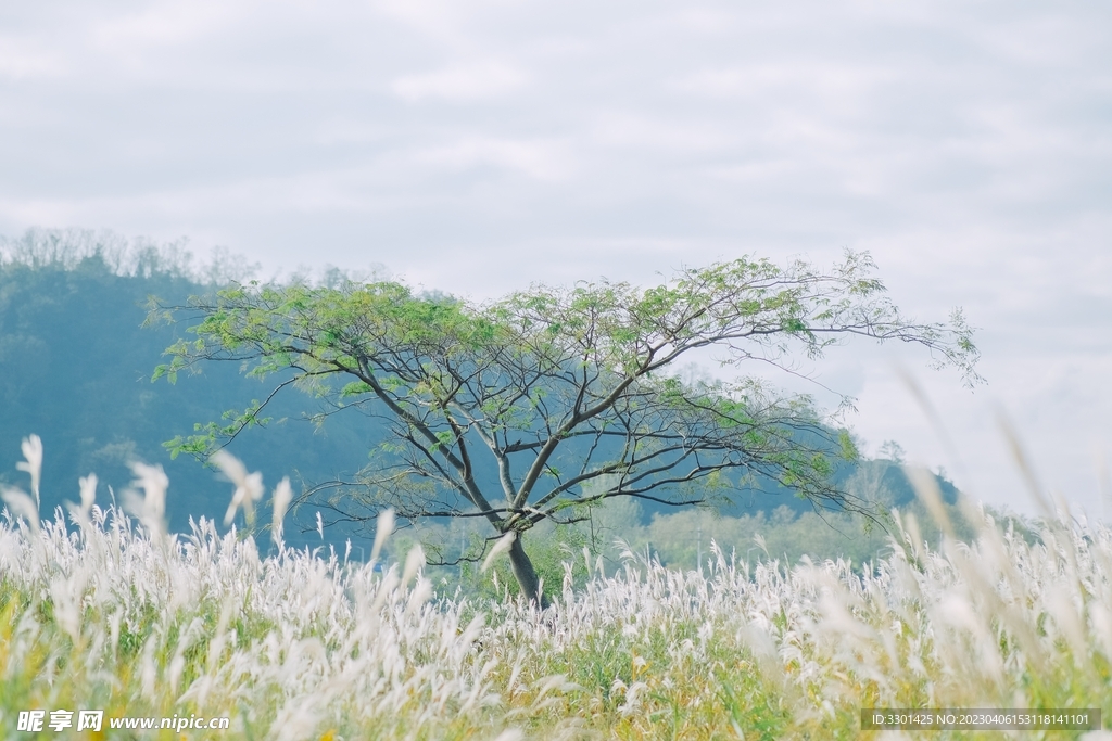 秋天自然景观