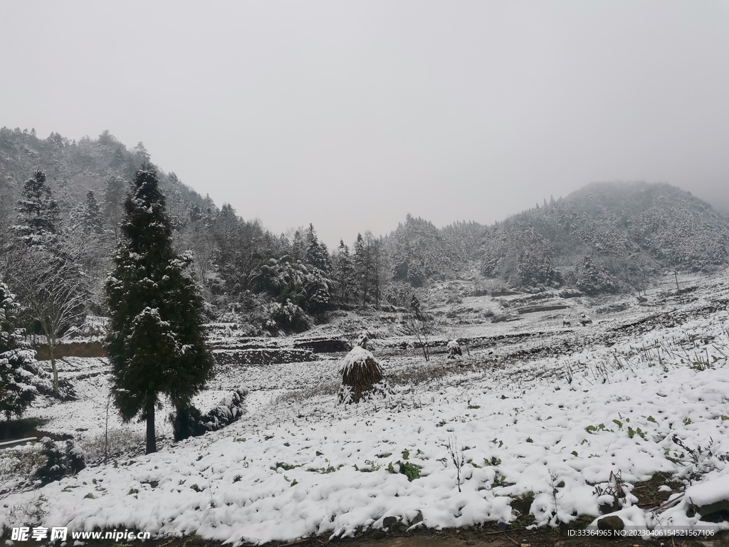 乡村的雪