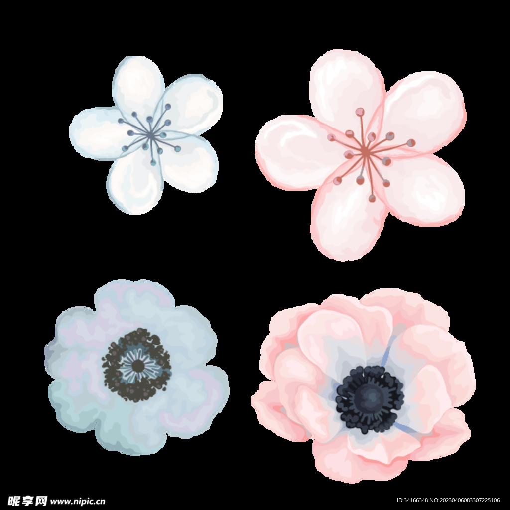 花朵