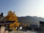 茅山  