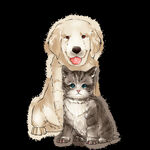 猫狗插画