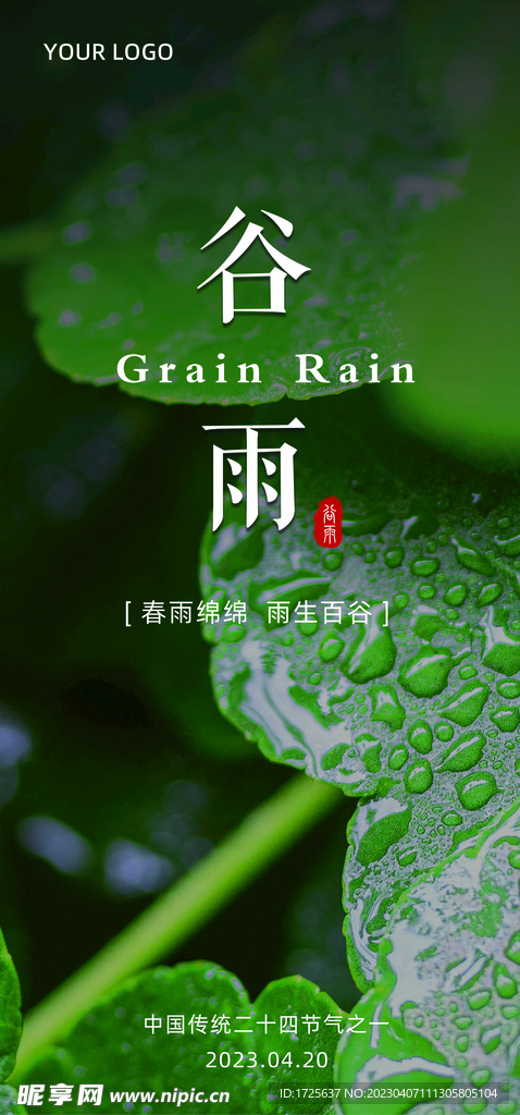 谷雨节气简约小清新创意海报