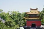 沈阳东陵古建筑和树