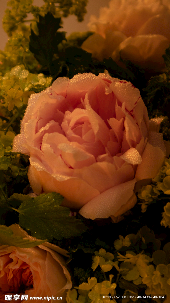 鲜花