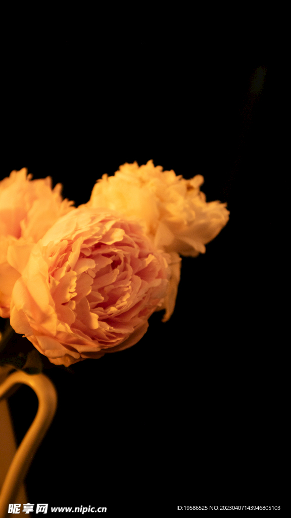 鲜花