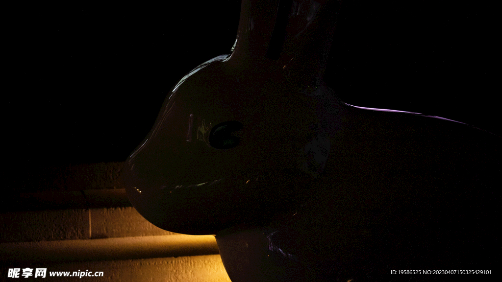 兔子 光线