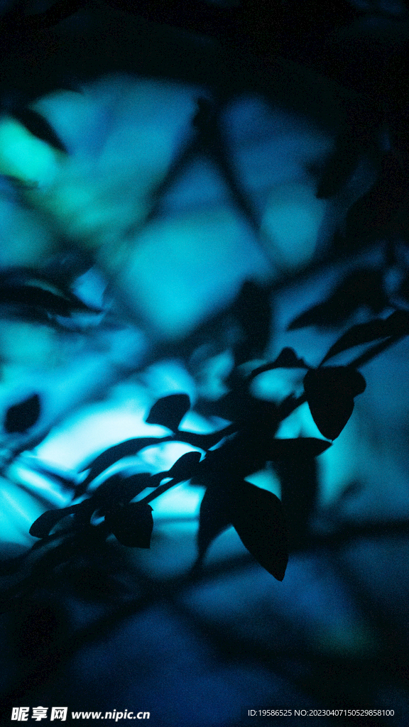 灯会