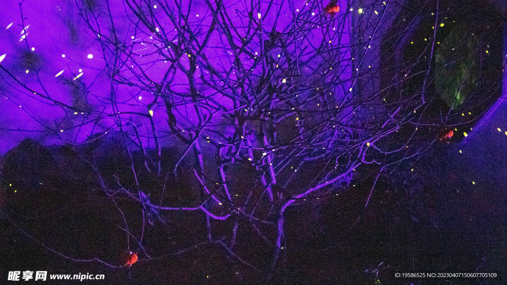 灯光神秘